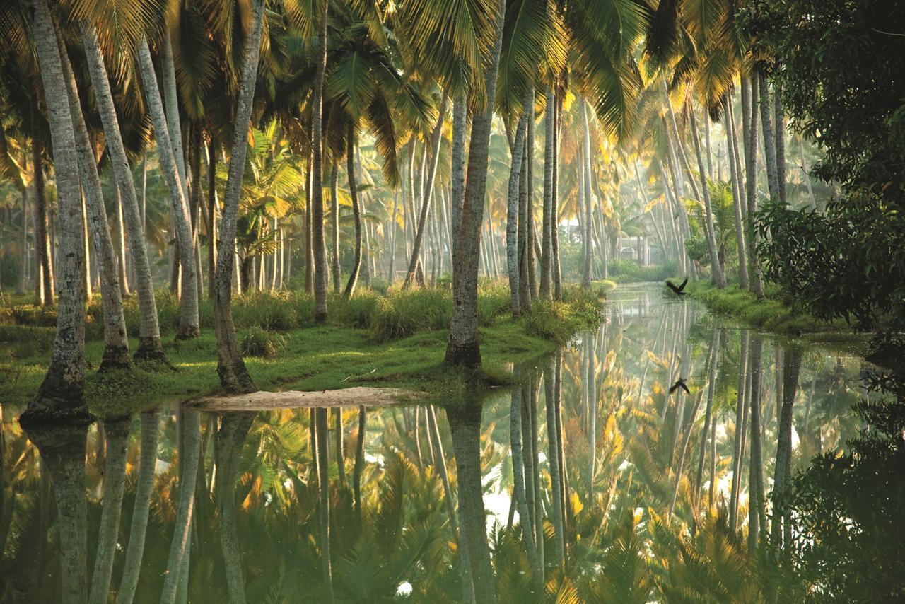 Isola Di Cocco Ayurvedic Beach Resort Poovar Exterior photo