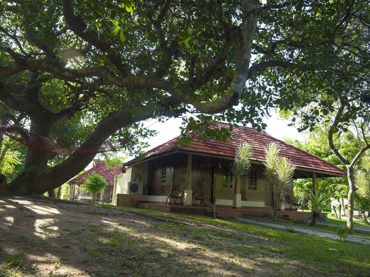 Isola Di Cocco Ayurvedic Beach Resort Poovar Exterior photo